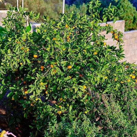 بيت للعطل Casa Luisa