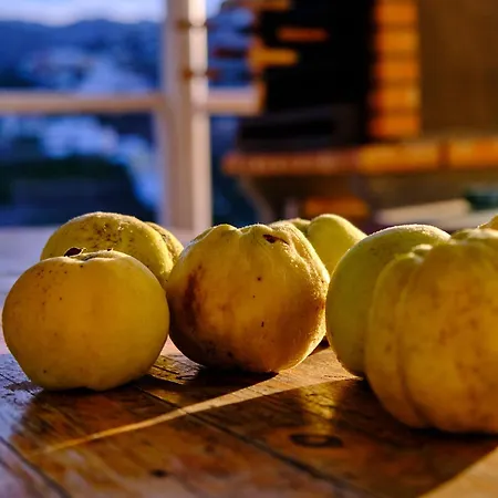 Casa Luisa تيرور